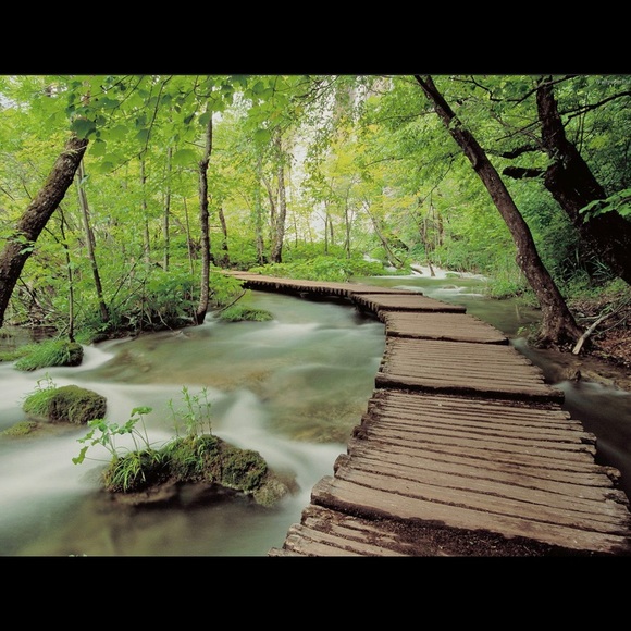 Meet your Posher, Sema - Picture 5 of 11